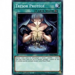 Trésor Protégé (C) [DLCS]