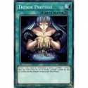 Trésor Protégé (C) [DLCS]