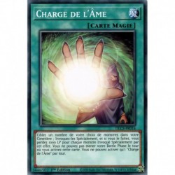 Charge de l'Âme (C) [DLCS]