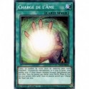 Charge de l'Âme (C) [DLCS]