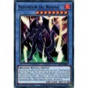 Seigneur du Rouge (C) [DLCS]