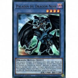 Paladin du Dragon Noir - titre Vert (UR) [DLCS]