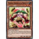 Piècorma, Princesse de la Prédiction (C) [DLCS]