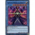 Tarotrayon, Princesse de la Prédiction (C) [DLCS]