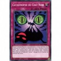Catastrophe du Chat Noir (C) [DLCS]