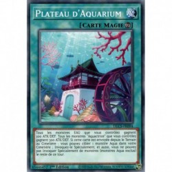 Plateau d'Aquarium (C) [DLCS]