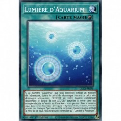 Lumière d'Aquarium (C) [DLCS]