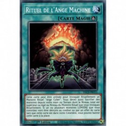 Rituel de l'Ange Machine (C) [DLCS]