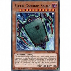 Fleur Cardian Saule (C) [DLCS]