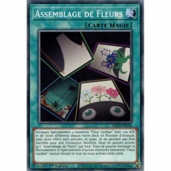 Assemblage de Fleurs (C) [DLCS]