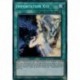 Importation Xyz (STR) [DLCS]