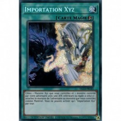 Importation Xyz (STR) [DLCS]