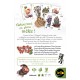 Schotten Totten 2 - Mini Games (20/11/2020)