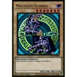 Magicien Sombre (PGR) [MAGO]