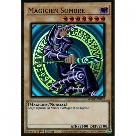 Magicien Sombre (PGR) [MAGO]
