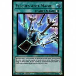 Flèches Anti-Magie (PGR) [MAGO]
