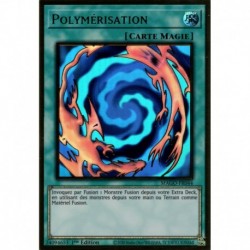 Polymérisation (PGR) [MAGO]