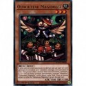 Ouhouteau Magidolce (GR) [MAGO]