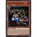 Traptrix Dionaea (GR) [MAGO]