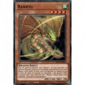 Ranryu (C) [SDCH]