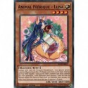 Animal Féérique - Luna (C) [SDCH]