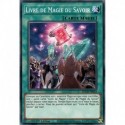 Livre de Magie du Savoir (C) [SDCH]