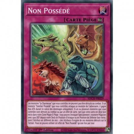 Non Possédé (C) [SDCH]