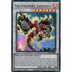 Salamandre Lavalval (UR) [GFTP]