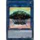 Dryanome Solairavalon (UR) [GFTP]