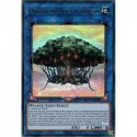 Dryanome Solairavalon (UR) [GFTP]