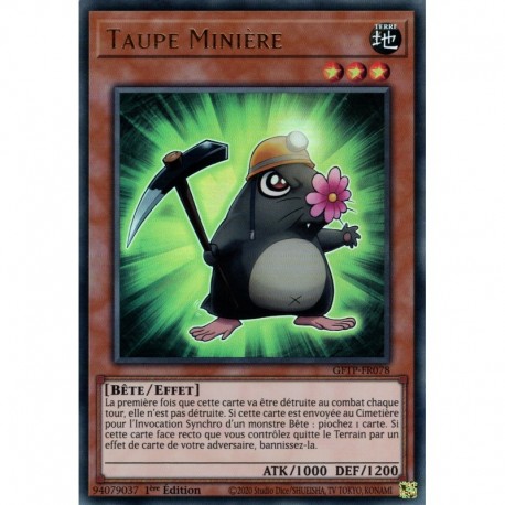 Taupe Minière (UR) [GFTP]