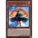 Salamangrande Volaille (UR) [GFTP]