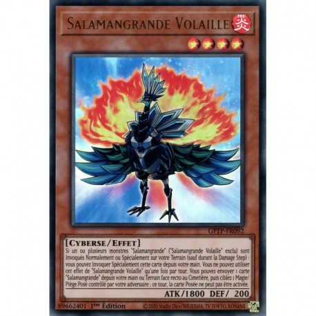 Salamangrande Volaille (UR) [GFTP]