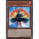 Salamangrande Volaille (UR) [GFTP]