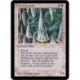 Blanche - Wall of Swords (U) [ALPHA] Grading : NM