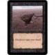 Noire - Sinkhole (C) [ALPHA] Grading : NM