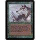 Verte - Aspect of Wolf (R) [ALPHA] Grading : EX