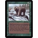 Verte - Grizzly Bears (C) [ALPHA] Grading : NM