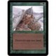 Verte - Ice Storm (U) [ALPHA] Grading : GD