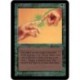 Verte - Instill Energy (U) [ALPHA] Grading : NM