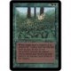 Verte - Kudzu (R) [ALPHA] Grading : EX