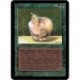 Verte - Lure (U) [ALPHA] Grading : EX