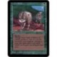 Verte - Timber Wolves (R) [ALPHA] Grading : EX
