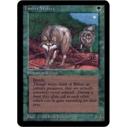 Verte - Timber Wolves (R) [ALPHA] Grading : EX