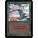 Verte - Tsunami (U) [ALPHA] Grading : NM