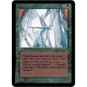 Verte - Wall of Ice (U) [ALPHA] Grading : NM