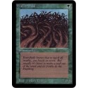 Verte - Wall of Wood (C) [ALPHA] Grading : GD