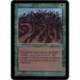 Verte - Wall of Wood (C) [ALPHA] Grading : NM