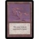 Incolore - Glasses of Urza (U) [ALPHA] Grading : GD