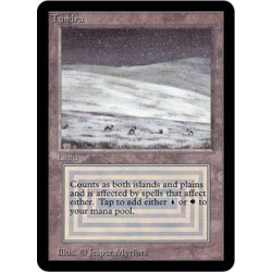 Terrain - Tundra (R) [ALPHA] Grading : LP